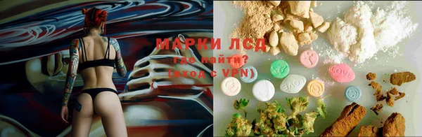 прущие крисы Арсеньев
